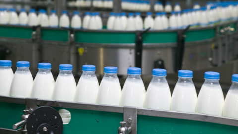 Le lait et les produits laitiers sont les marchandises agricoles les plus produites et les plus précieuses dans le monde entier