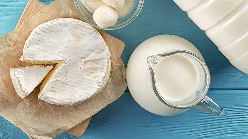Milk and cheese