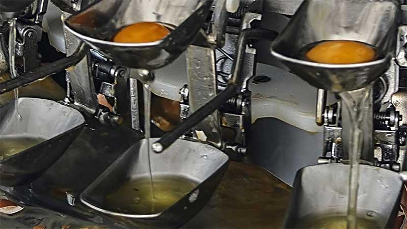 Egg separation