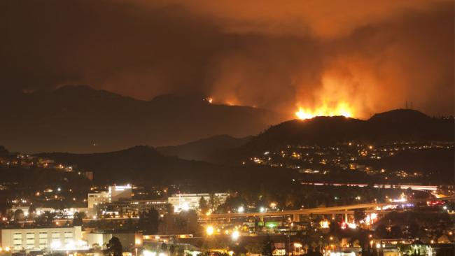 Wildfire