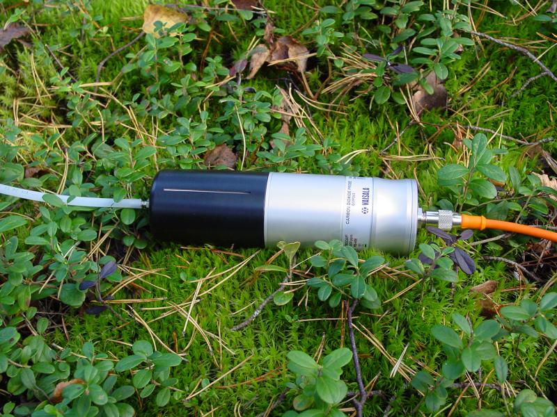 GMP343 in a forest