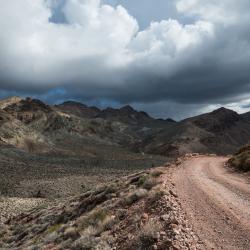 Shelf road through desert canyon